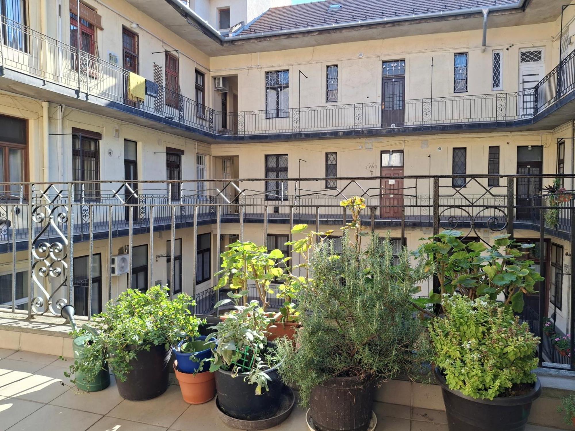 Oasis 2 Bd Apartament *